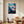 Great White Shark Collection - 001