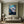 Great White Shark Collection - 001