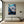 Great White Shark Collection - 001