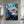 Great White Shark Collection - 001